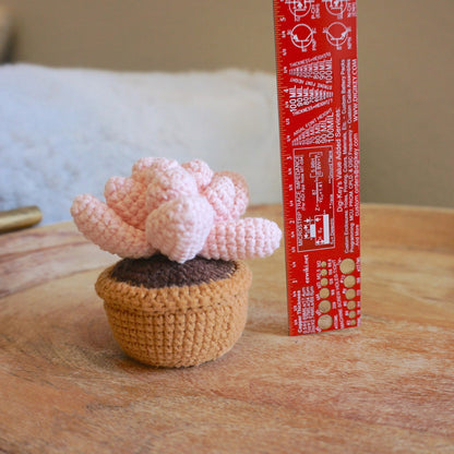 Finished Handmade Crochet Succulent | Crocheted Pachyphytum | Mini Flower Pot | Office Desk Home Decor | Decorative Plants | Gift Mom Friend