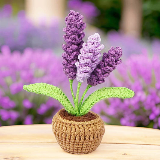 Handmade Finished Crochet Lavender Flower Pot Plants | Purple Home Living Room Desk Decor | Dried Flowers | Present Gift for Mom Girlfriend