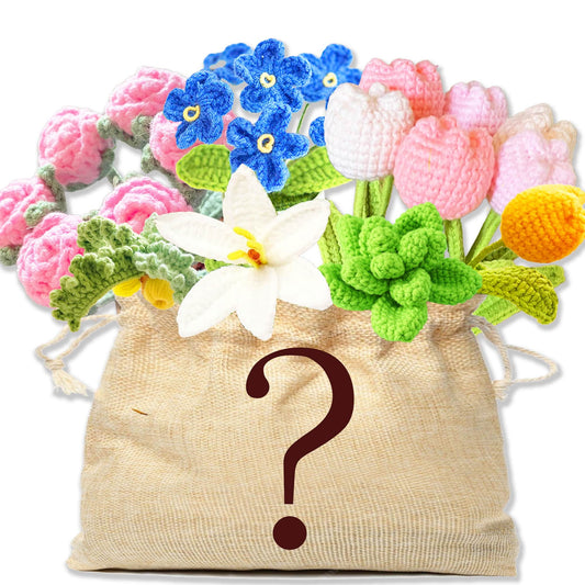 50+%OFF Mystery Bag Crochet Flower Pot | Curated 45+ Dollars Value | Tulip pot | Daisy | Forget me not | Bouquet | Toys | Accessories