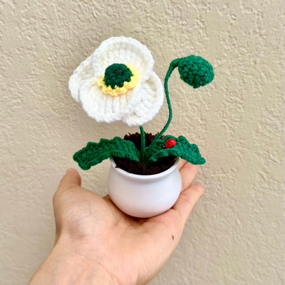 Handmade Finished Crochet Poppy Flower Pot | Red Pink Blue White Orange Green | Cute Home Desk Office Decor | Gift Birthday Anniversary