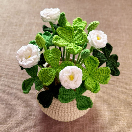 Finished Handmade Crochet Clover Flower Pot Plant | Lucky Leaves | White Green Home Decor | St Patrick's Day Graduation Birthday