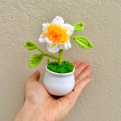 Handmade Crochet Gardenia Flower Pot Plant | Home Desktop Table Decor | Dried Daisy | Handcrafted Gift for Wife Mom Birthday | Summer