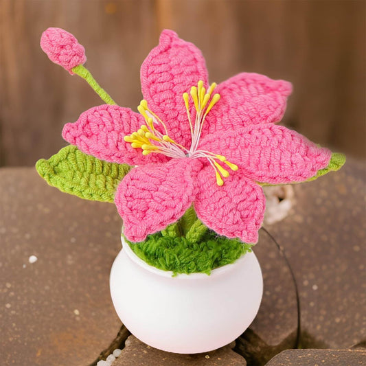 Handmade Crochet Coppertips Pot | Hot Pink | Baby Pink Dried Fake Flower Plant Home Decor | Crocosmia | Montbretia | Gift for Mom Girlfriend