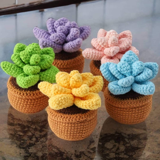 Finished Handmade Crochet Succulent | Crocheted Pachyphytum | Mini Flower Pot | Office Desk Home Decor | Decorative Plants | Gift Mom Friend
