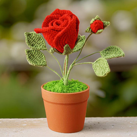 Handmade Crochet Rose Leaf Pot | Pink | Purple | White | Red | Home Decor | Valentine Gift | Girlfriend | Anniversary | Wedding