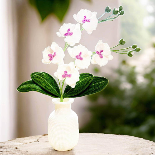 Handmade Crochet Moth Orchid + Vase | Flower Bonsai | Home Living Room Lobby Decor | White Pink Green | Dried Fake Flower