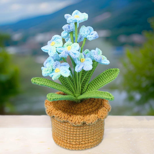 Handmade Finished Crochet Forget-me-not Flower Pot | Pink | Blue | Purple | Scorpion grasses | Myosotis | Gift Friend Teacher Graduation