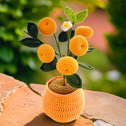 Handmade Finished Crochet Orange Pot | Orange Decor | Orange Crochet Pot | Decorative Plants | Crochet Flowers | Home Decor