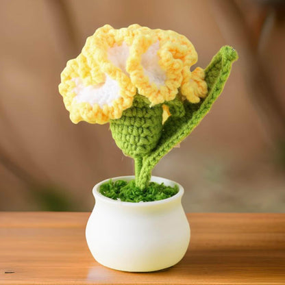 Handmade Crochet Carnation Pot | Pink | Yellow | Blue | Gift for Mom | Girlfriend | Flower Arrangement | Dried Flowers | Mother's Day
