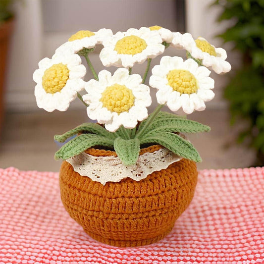 Handmade Crochet Daisy Pot | Crochet Daisy Decor | Dried Daisy | Handmade Gift | Summer Home Decor