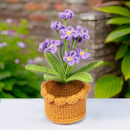 Handmade Finished Crochet Forget-me-not Flower Pot | Pink | Blue | Purple | Scorpion grasses | Myosotis | Gift Friend Teacher Graduation