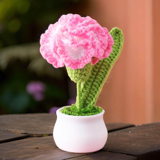Handmade Crochet Carnation Pot | Pink | Yellow | Blue | Gift for Mom | Girlfriend | Flower Arrangement | Dried Flowers | Mother's Day