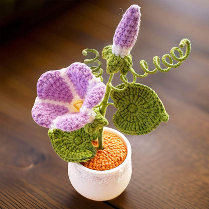 Handmade Crochet Morning Glory | Ipomoea Nil | Asagao | Japanese | Picotee | Ivy-leaf | Pot Plants | Purple | Home Living Room Desk Decor
