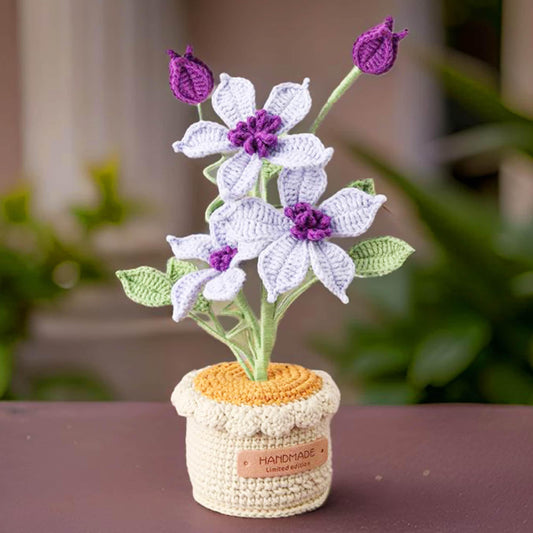 Crochet Clematis Florida | Asian Virginsbower  | Purple Flower Crochet Pot | Decorative Plants | Home Decor | Gift for Mom Wife Girlfriend