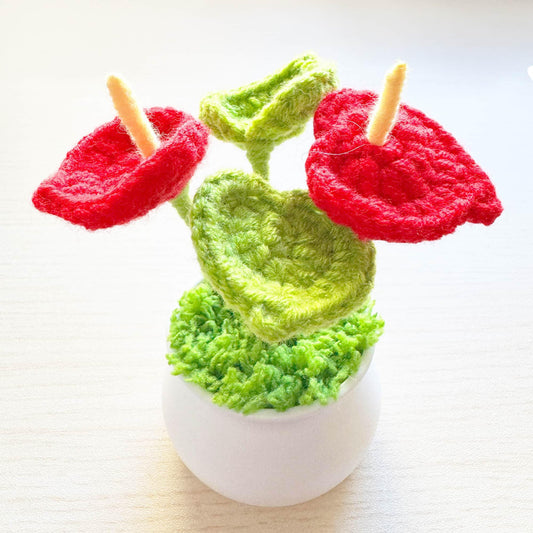 Handmade Crochet Laceleaf Pot | Anthurium | Red Green Yellow | Decorative Plants | Home Decor | Christmas | Holiday Decoration