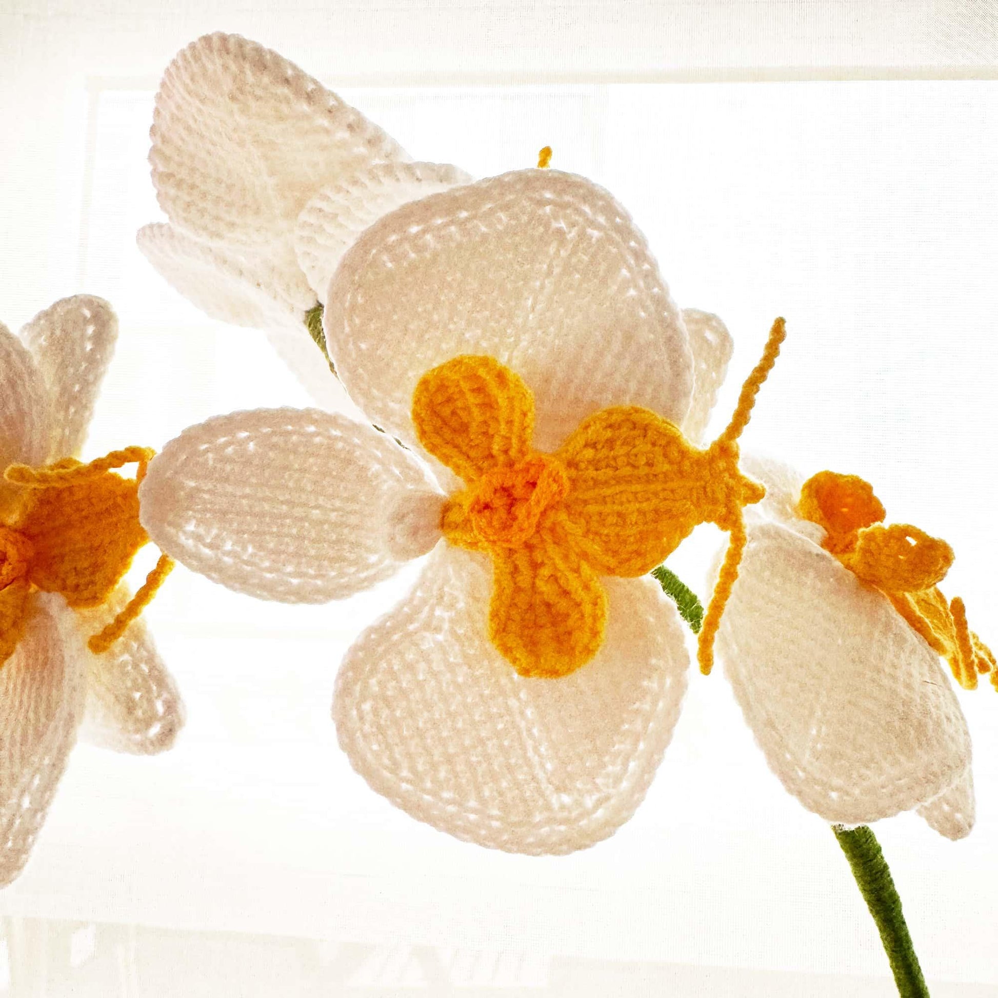 Handmade Crochet Orchid Pot: White & Green Flower Arrangement