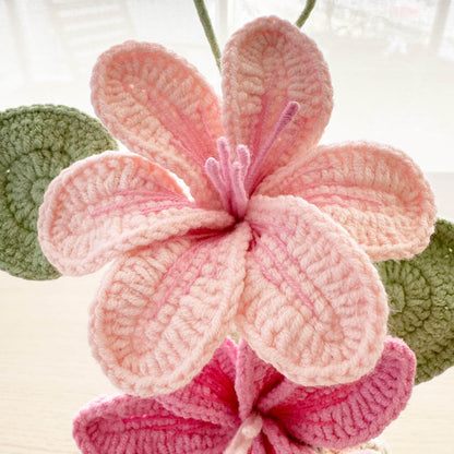 Handmade Crochet Vernicia Fordii Flower Pot Plant | Home Desktop Table Decor | Pink | Handcrafted Gift for Wife Mom Birthday