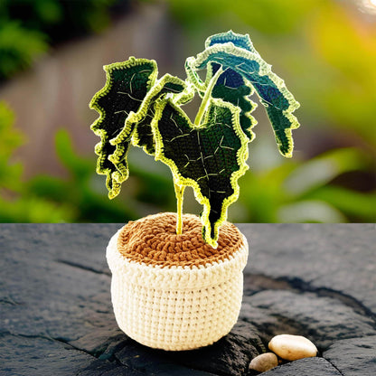 Handmade Crochet Elephant Ear Plant | Alocasia Polly | Green Home Decor | House Warming Gift | Big Green Leaf | Crochet Houseplant