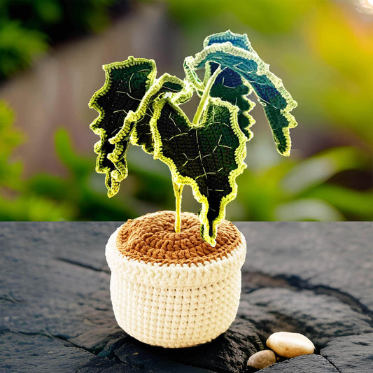 Handmade Crochet Elephant Ear Plant | Alocasia Polly | Green Home Decor | House Warming Gift | Big Green Leaf | Crochet Houseplant