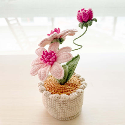 Handmade Crochet Aster Flower Pot | Purple Daisy Decor | Cute Yarn Flower | Decorative Plant | Crochet Flowers | Gift for Her