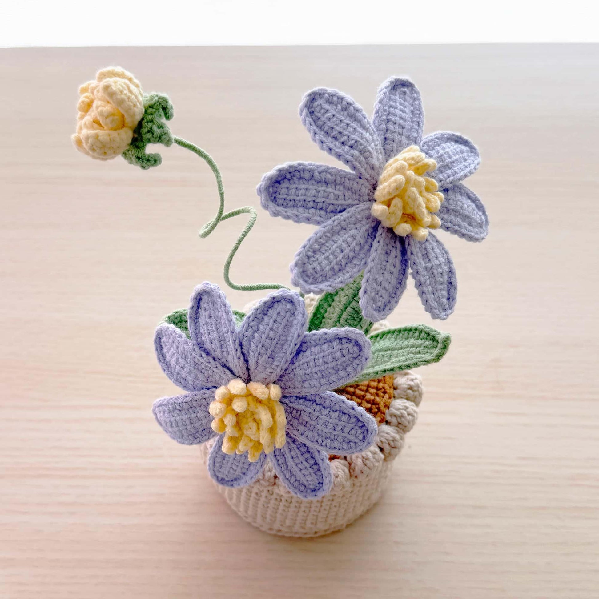 Handmade Crochet Aster Flower Pot: Cotton Yarn Daisy Decor
