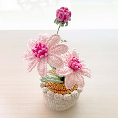Handmade Crochet Aster Flower Pot: Cotton Yarn Daisy Decor