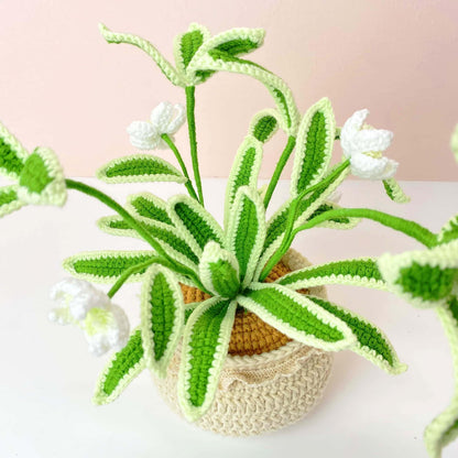 Handmade Crochet Spider Plant | Hanging Houseplant Decor | No-Water Indoor Plant | Fiber Art Plant Gift | Cute Crochet Greenery