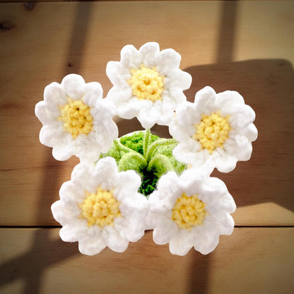 Handmade Crochet Daisy Pot | Crochet Daisy Decor | Dried Daisy | Handmade Gift | Summer Home Decor