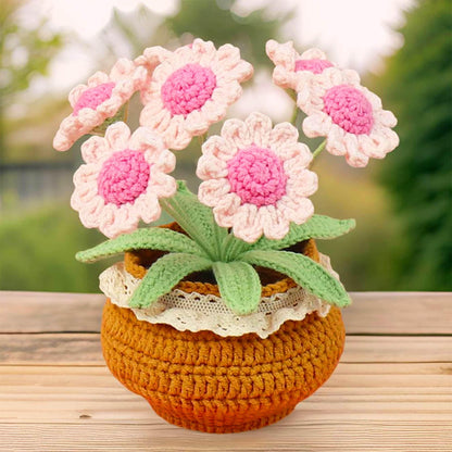 Handmade Crochet Daisy Pot | Crochet Daisy Decor | Dried Daisy | Handmade Gift | Summer Home Decor
