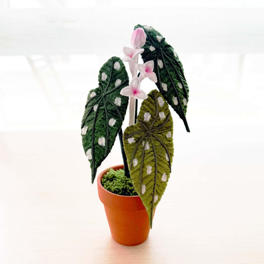 Handmade Pipe Cleaner Begonia Maculata | Polka Dot Plant Decor | Embroidered Houseplant Gift | Faux Potted Leaf Art | Flamingo Queen