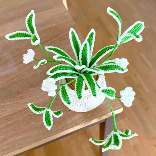 Handmade Crochet Spider Plant | Hanging Houseplant Decor | No-Water Indoor Plant | Fiber Art Plant Gift | Cute Crochet Greenery