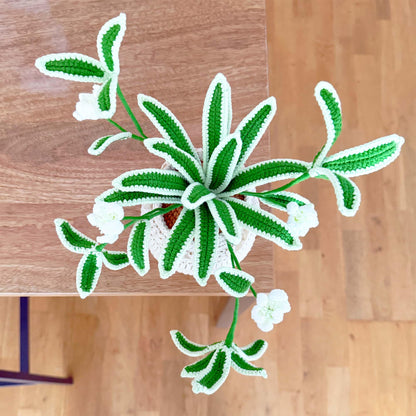Handmade Crochet Spider Plant | Hanging Houseplant Decor | No-Water Indoor Plant | Fiber Art Plant Gift | Cute Crochet Greenery