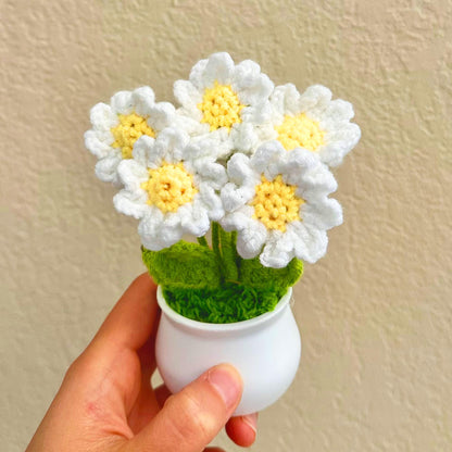 Handmade Crochet Daisy Pot | Crochet Daisy Decor | Dried Daisy | Handmade Gift | Summer Home Decor