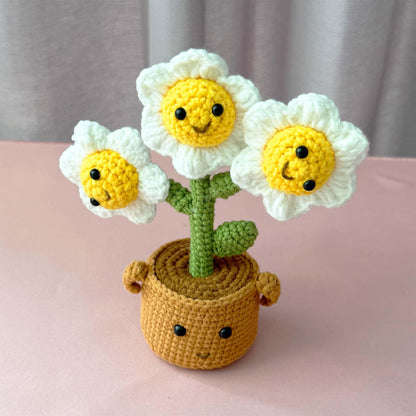 Handmade Finished Crochet Smiley Daisy Pot | Smiley Flower Decor | Cute Crochet Plant | Amigurumi Flowers | Home Decor | Desk Gift | Kawaii