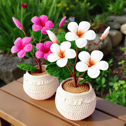 Handmade Crochet Plumeria Pot | Tropical Flower Decor | Hawaii | Cute Yarn Plant | Crochet Flowers | Home Decor | Gift Idea