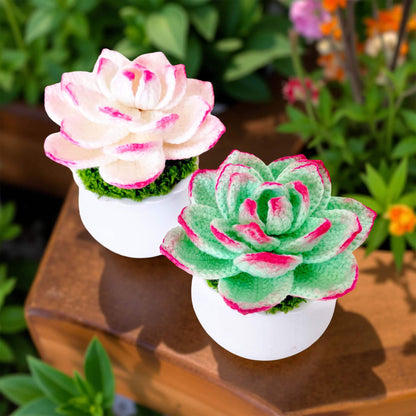 Handmade Crochet Succulent Pot | Yarn Succulent Decor | Cute Crochet Plant | Faux Succulent | Indoor Greenery | Desk Plant | Home Decor