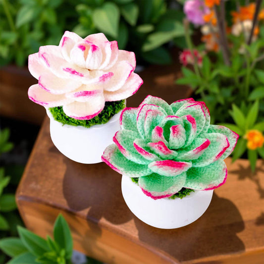 Handmade Crochet Succulent Pot | Yarn Succulent Decor | Cute Crochet Plant | Faux Succulent | Indoor Greenery | Desk Plant | Home Decor