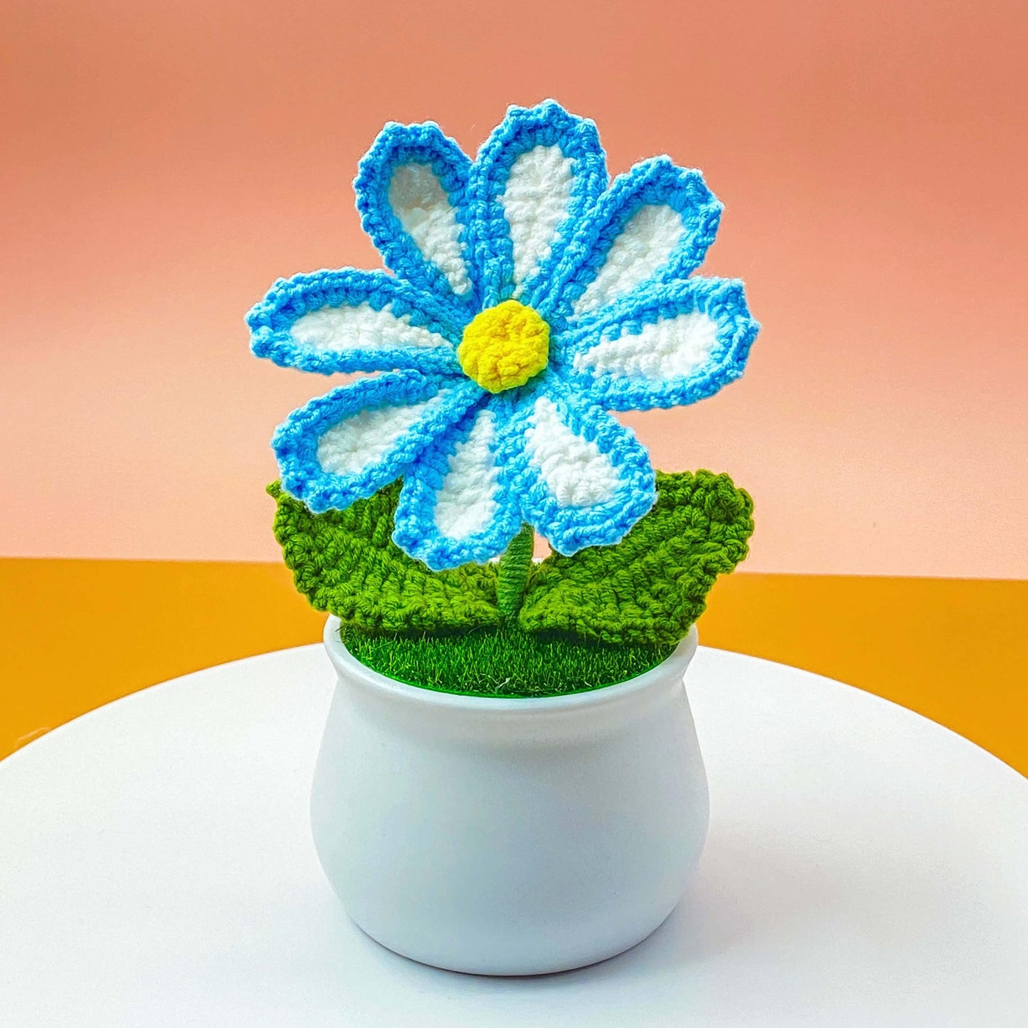 Handmade Crochet Cosmos Daisy Pot | Daisy Decor | Cute Crochet Flower | Spring Home Decor | Crochet Flowers | Gift for Her