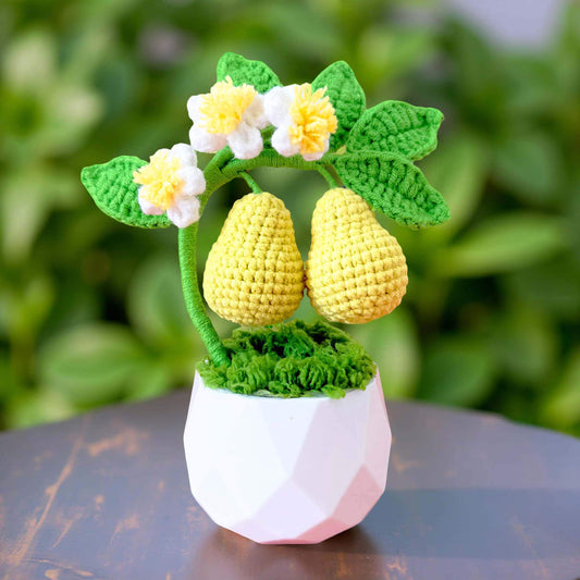 Handmade Crochet Pear Tree Pot | Cute Fruit Decor | Decorative Plants | Crochet Pears | Whimsical Home Decor | Kitchen Decor