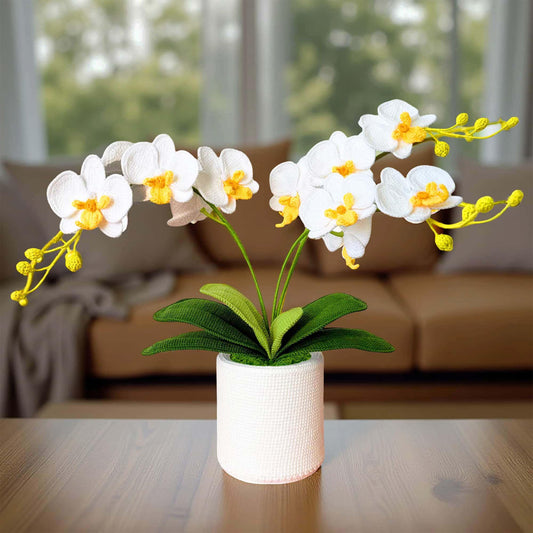 Handmade Crochet Orchid Pot | Orchid Decor | Flower Arrangement | White Green | Reception Desk Decor | Hallway Table Centerpiece