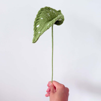 Handmade Crochet Begonia Stems | Leaf Decor | Yarn Houseplant | Crochet Leaves | Botanical Decor | Indoor Greenery | Home Accent