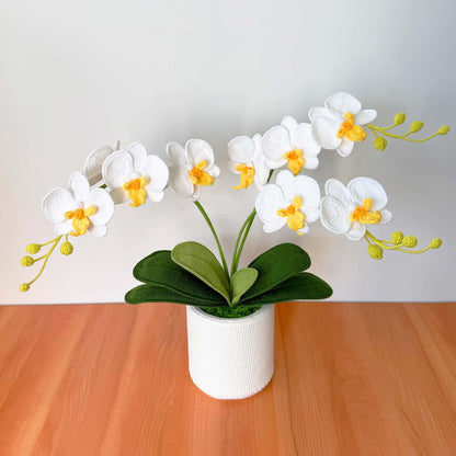 Handmade Crochet Orchid Pot | Orchid Decor | Flower Arrangement | White Green | Reception Desk Decor | Hallway Table Centerpiece