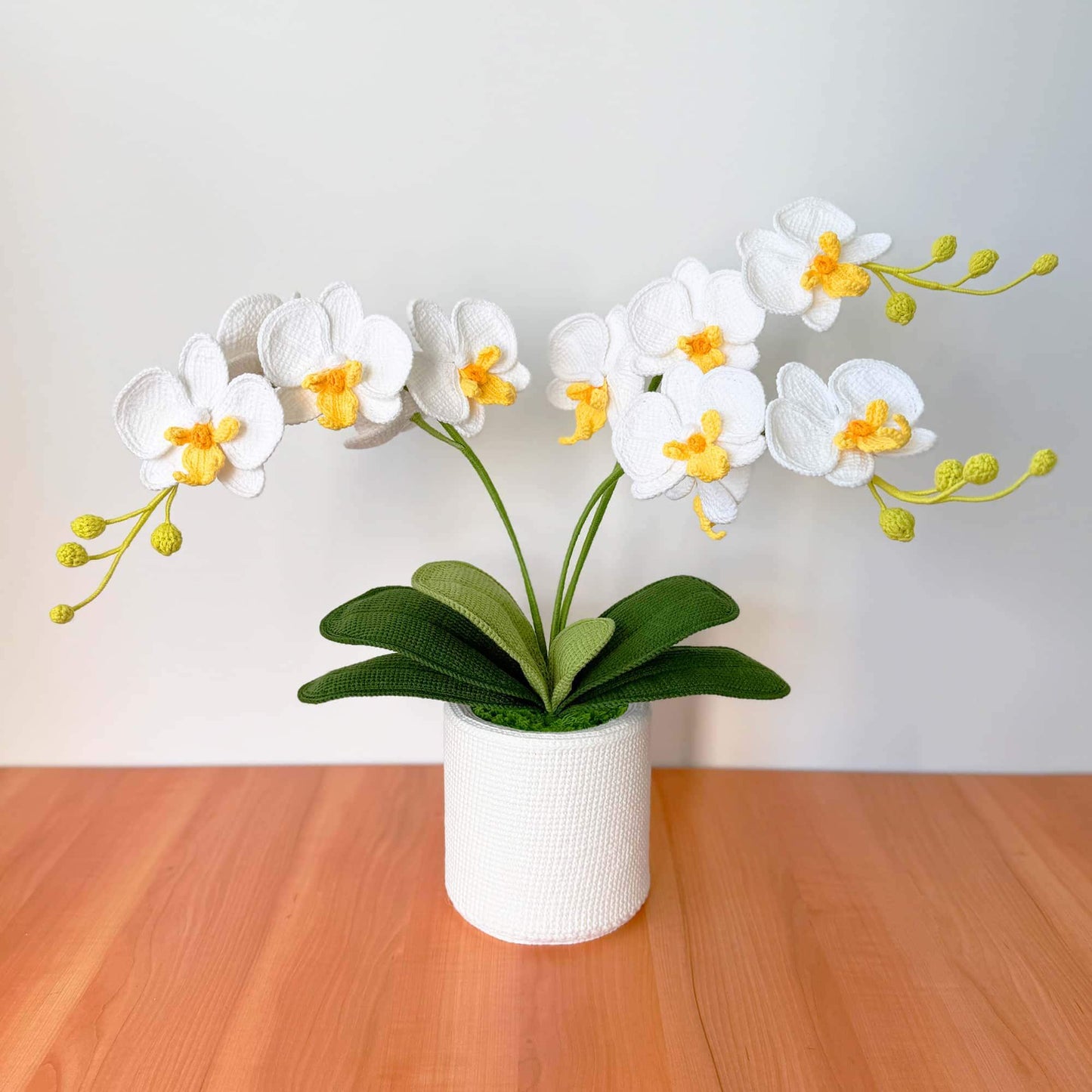 Handmade Crochet Orchid Pot | Orchid Decor | Flower Arrangement | White Green | Reception Desk Decor | Hallway Table Centerpiece