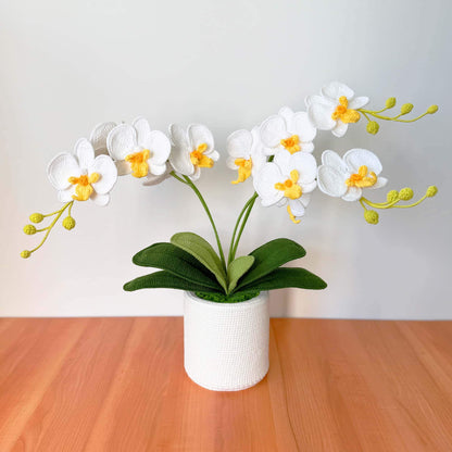 Handmade Crochet Orchid Pot | Orchid Decor | Flower Arrangement | White Green | Reception Desk Decor | Hallway Table Centerpiece
