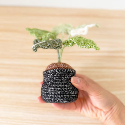 Handmade Crochet Monstera Plant | Yarn Amigurumi, Black Pot