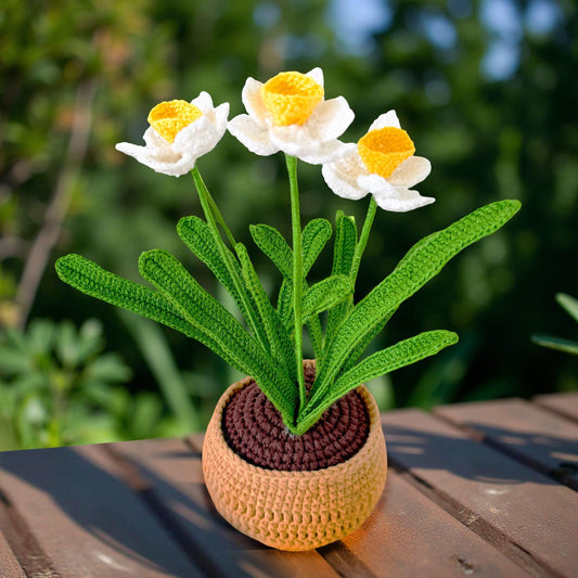 Handmade Crochet Daffodil Pot | Spring Flower Decor | Yellow and White Floral Plush | Fiber Art Plant | Mother’s Day Gift