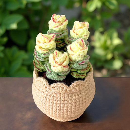Handmade Crochet Echeveria Succulent | Faux Plant Decor | Yarn Succulent | Cute Mini Plant | Home Office Decor | Plant Lover Gift