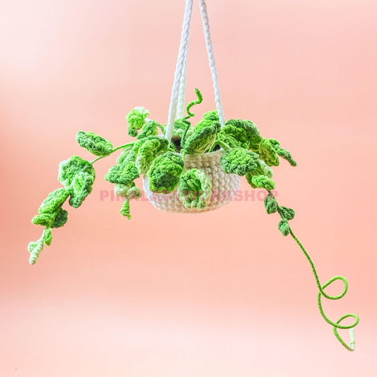 Crochet Hanging Plant: Creeping Charlie & String of Turtles - Car Mirror Decor