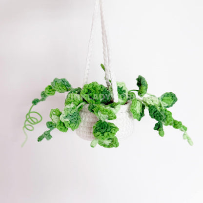 Crochet Hanging Plant | Creeping Charlie | String of Turtles | Car Mirror Decor | Pilea | Peperomia | Home Decor | Amigurumi Gift