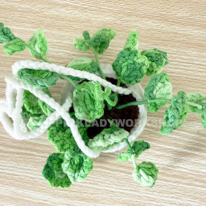Crochet Hanging Plant | Creeping Charlie | String of Turtles | Car Mirror Decor | Pilea | Peperomia | Home Decor | Amigurumi Gift